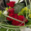 Thumbnail: Tropical Red Roses Arrangement