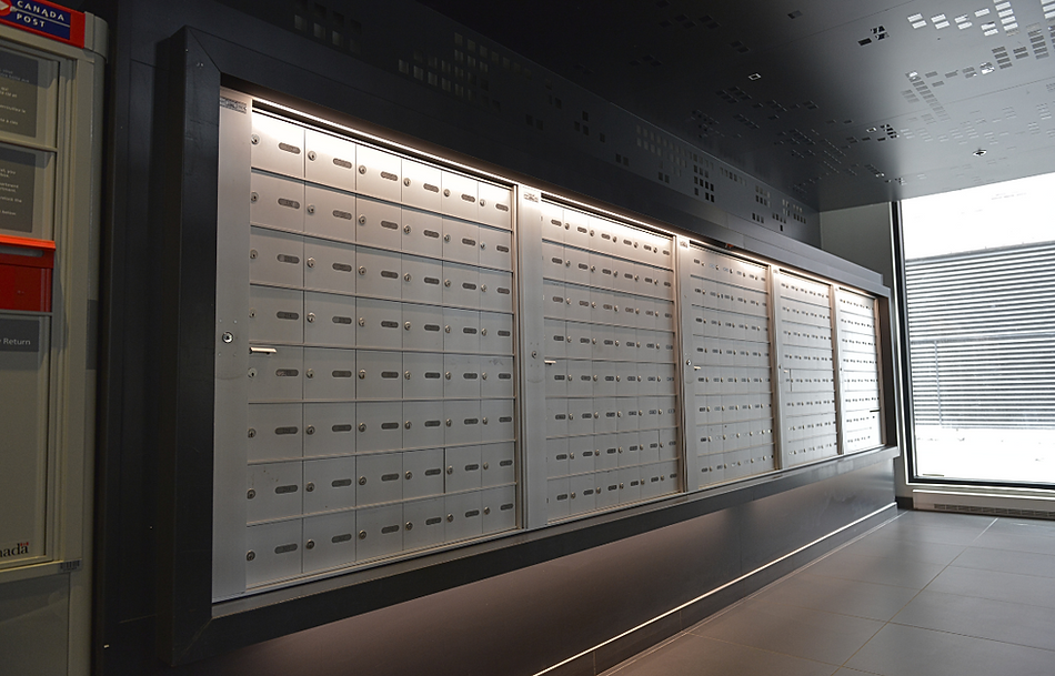 Copy of Copy of dac46a_254c36c065174a8c9ac9dcfb08764524~mv2.png