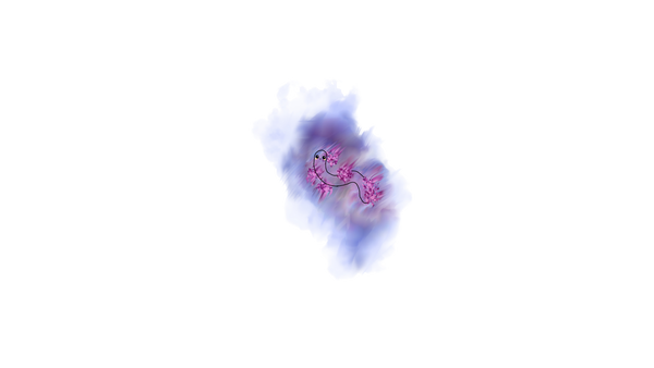 9.png
