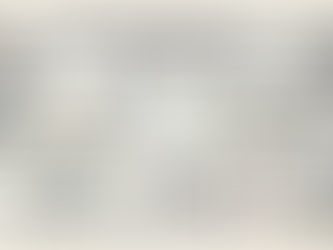 スクラップヤード規制