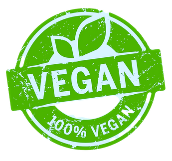 cacaogazm_vegan_edited_edited.png