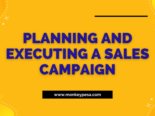 How do you plan and execute a sales campaign?