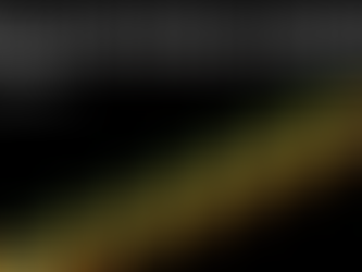 Where to Buy Ducks in Uganda