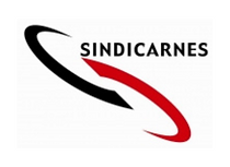 sindi.png