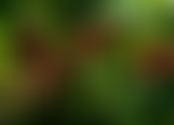 Nespresso debate agricultura regenerativa e sustentabilidade em 7ª edição do HackTown