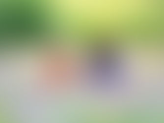 Hund und Mensch sitzen auf einer Wiese mit lila Wildblumen