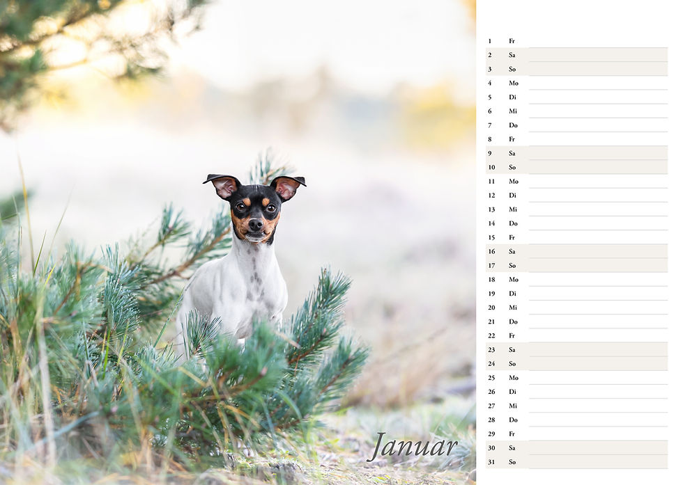 Miniaturbild: Kalender  2027 - Hunde in der Natur - mit Platz für Termine & Geburtstage