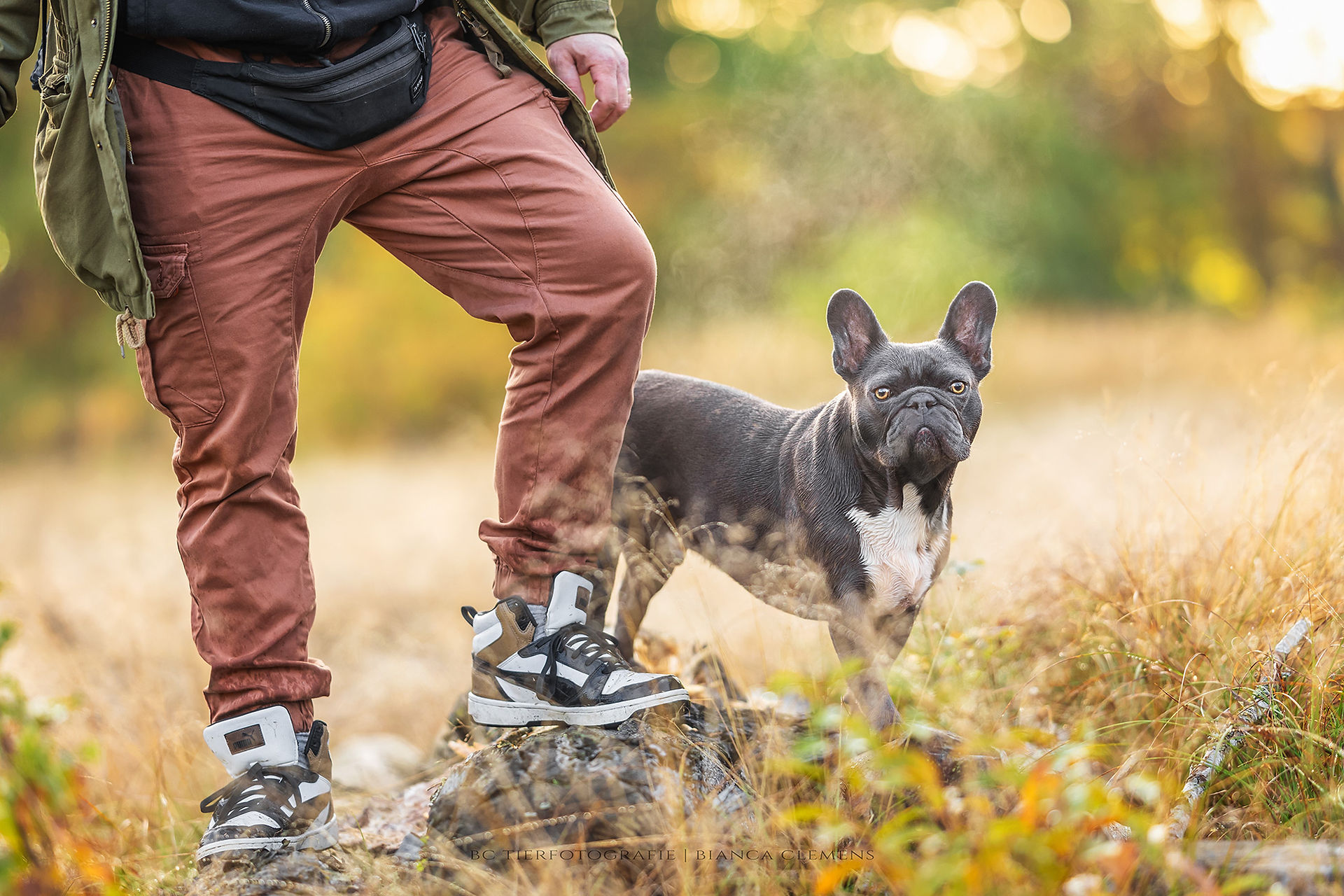 Hundefotografie Berlin