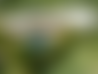 How Barbados Luxury Villas Redefine High-End Island Living