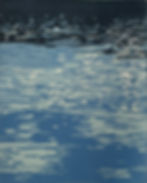 River Study 8