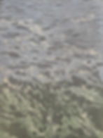 Roiling River