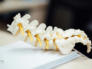 Copy of Why your back pain keeps coming back and what root cause assessment changes