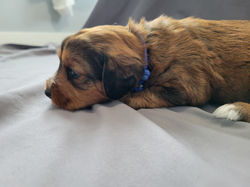Boyd (week 3) (4)