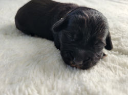 CICI (week 1) (25)