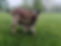 346790021_242082345100380_2807805890736042246_n.jpeg