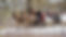 russia-gd94484fba_1920.jpg
