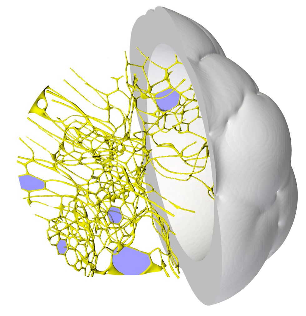 Defects in Crystals and Grain Boundaries