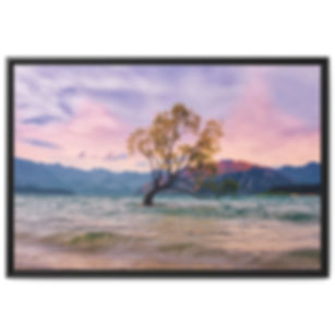Árbol de Wanaka al atardecer, Nueva Zelanda, lienzo enmarcado, arte de pared
