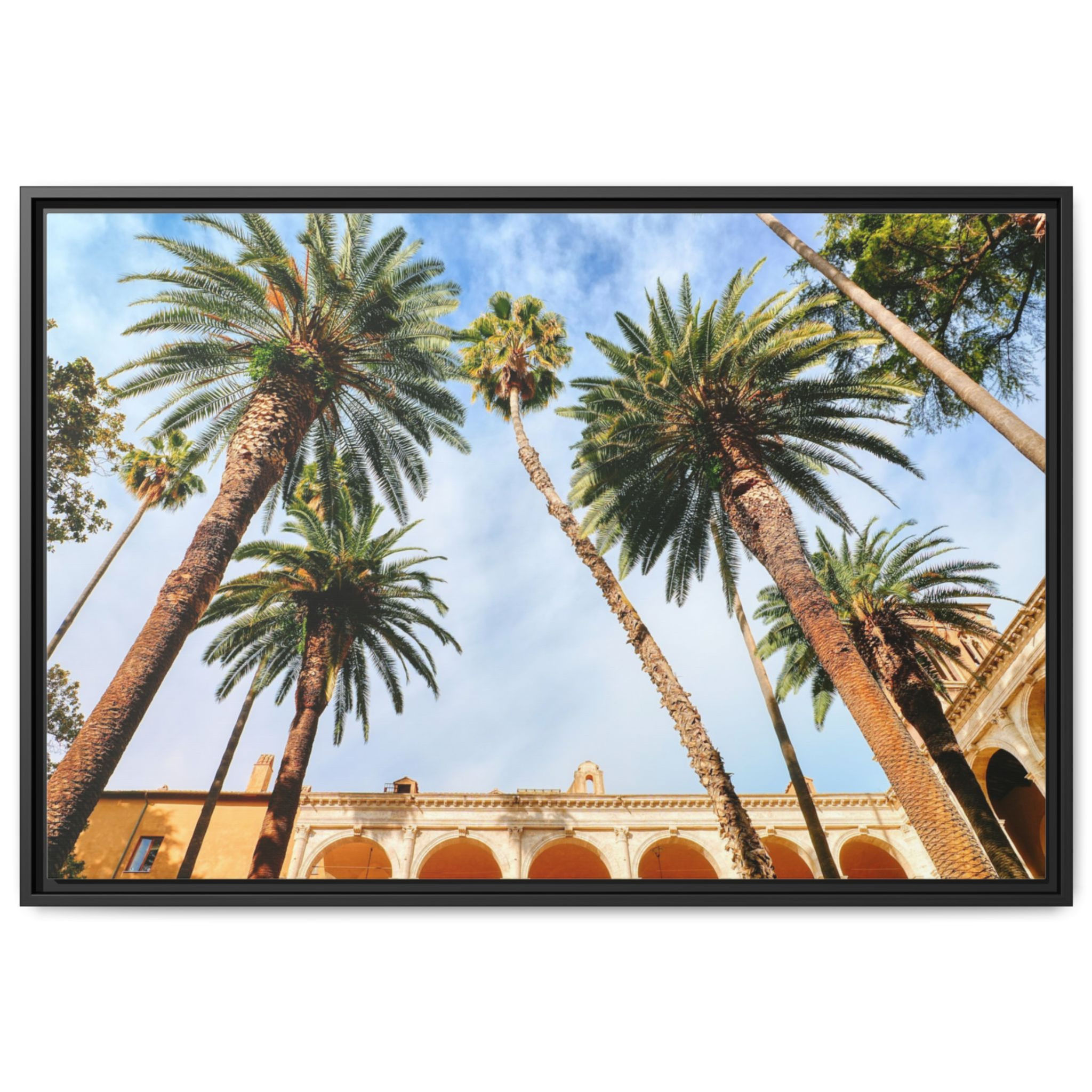 Palm Trees In Rome, Italy Framed Canvas Wall Art