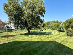IMG_9172.JPEG