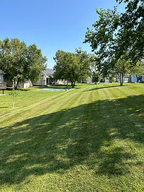 IMG_9177.JPEG