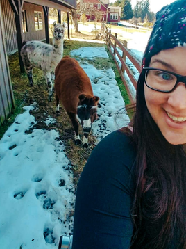 7 Steps to Getting the Best House-Sitting Jobs