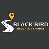 WhatsApp Image 2024-10-18 at 12.24.35 (1).jpeg