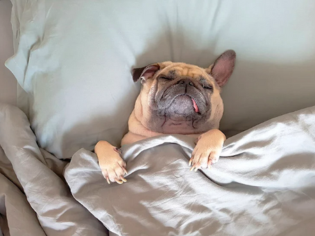 Como melhorar a qualidade do sono pode ajudar a se livrar da exaustão!