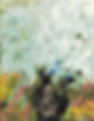 14__#$!_%!#__inconnu.jpeg