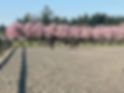 IMG_0506.WEBP