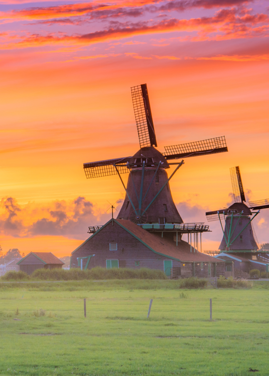 Peppol in Nederland