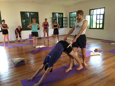 Dog with a head down