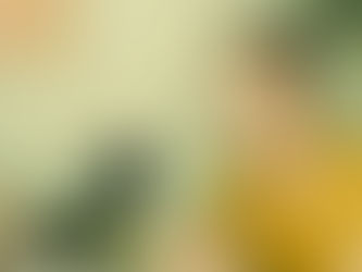 interview photographe entrepreneur métier passion