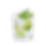 Fresh Lime Soda