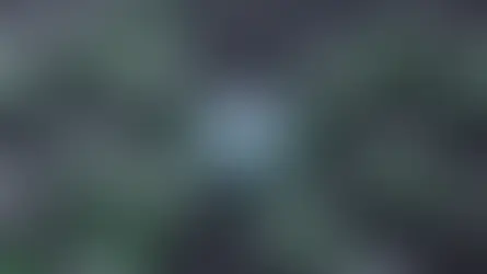 Agentic AI Explained: What Enterprise Leaders Need to Know Before Scaling AI Agents