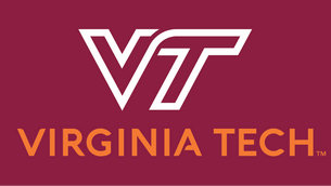Lori Schafer to Speak at Virginia Tech Data Science Lunch & Learn Series