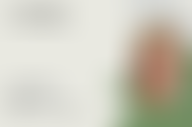 Retail Brew Spotlights Lori Schafer