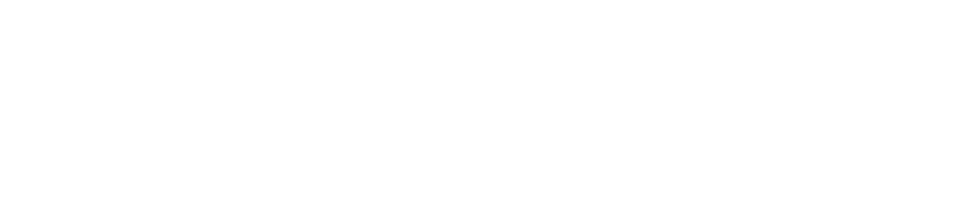 White abstract waves spanning the width of the page