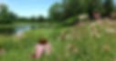 mortonarboretummain.jpg