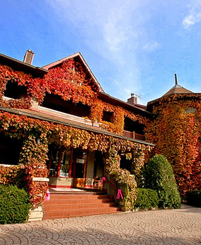 Roselle - Lynfred.JPG