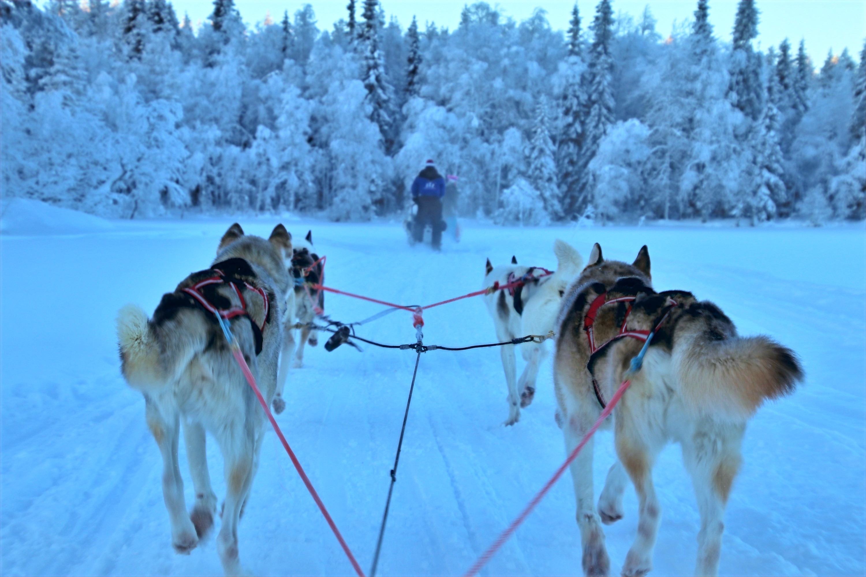 Finnland Urlaub – Seenlandschaft und Natur erleben