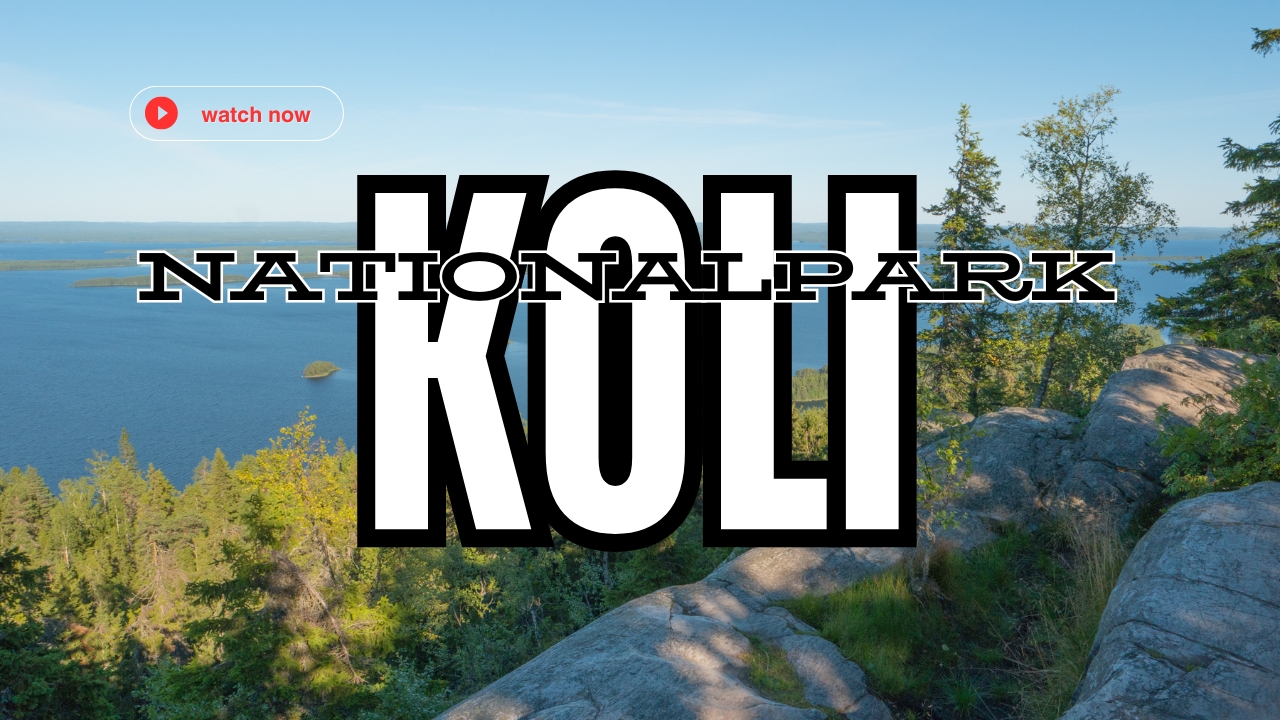 Panoramablick Koli Nationalpark Finnland