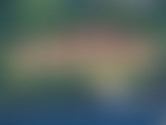 The Conference - Excursions