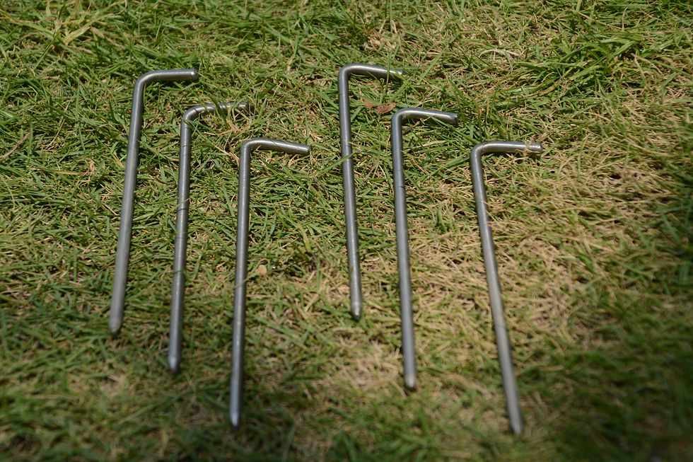 Thumbnail: 5mm Titanium Pegs
