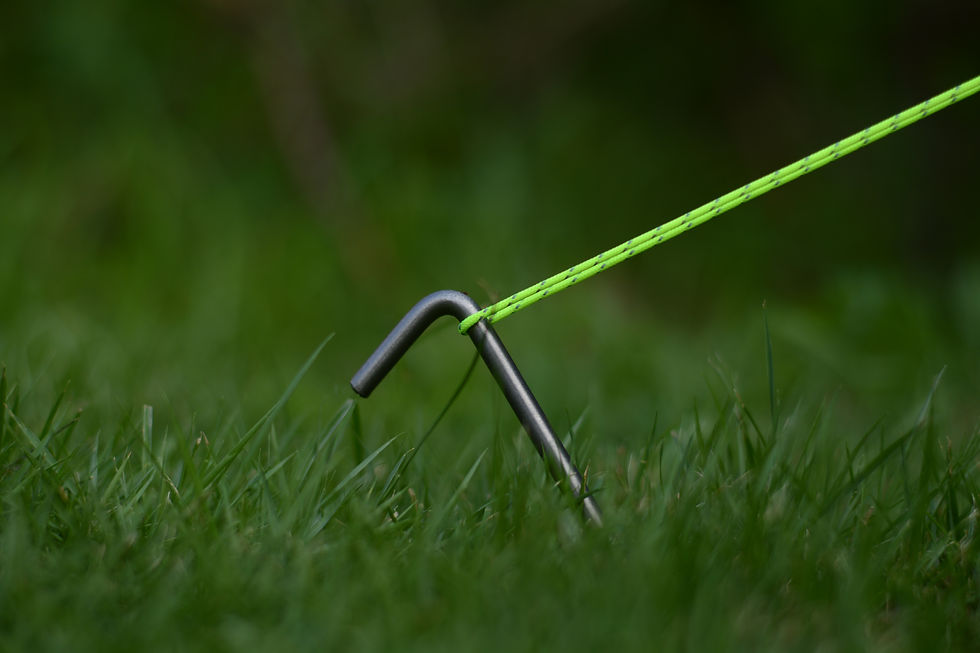 Thumbnail: 5mm Titanium Pegs