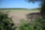 IMG_5297 copy.jpg