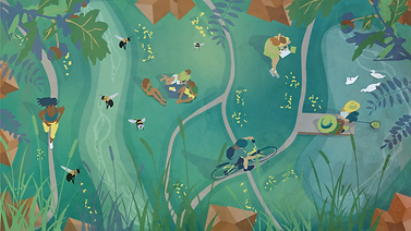 00605B_Website-Header-01--96dpi.png
