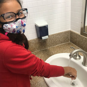 Why Should I Wash My Hands?