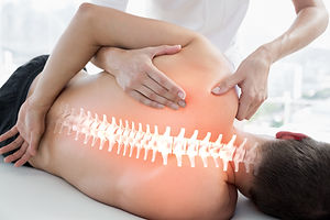 Digital composite of Highlighted bones o