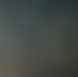 La paradoja de la jaula abierta.